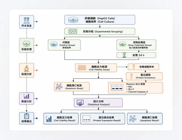 实验流程图