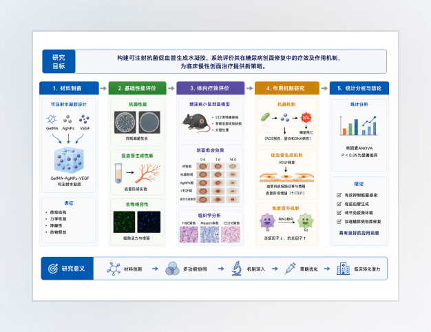 研究框架图